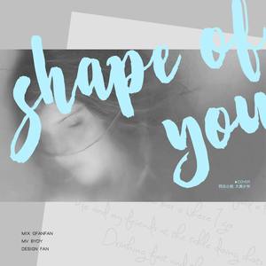 Shape of You，探索音乐与情感的交织之美