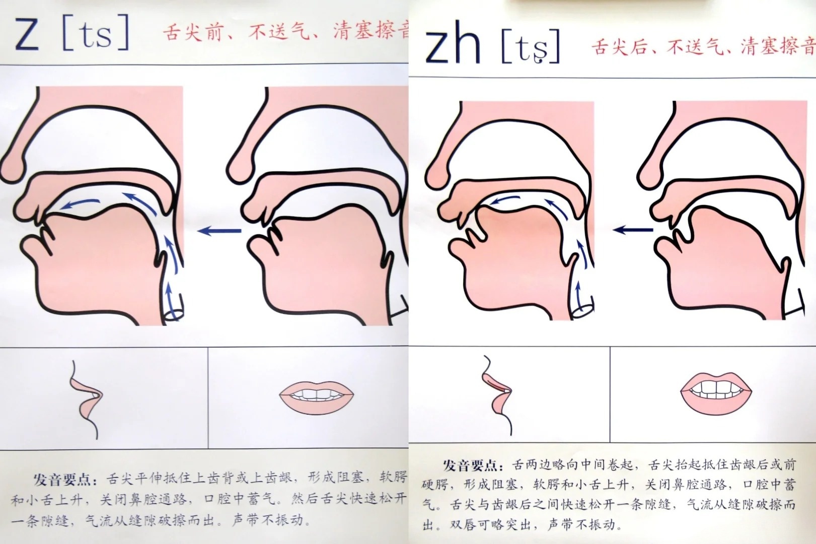 平舌音与翘舌音，汉语发音的两大类别及其特点