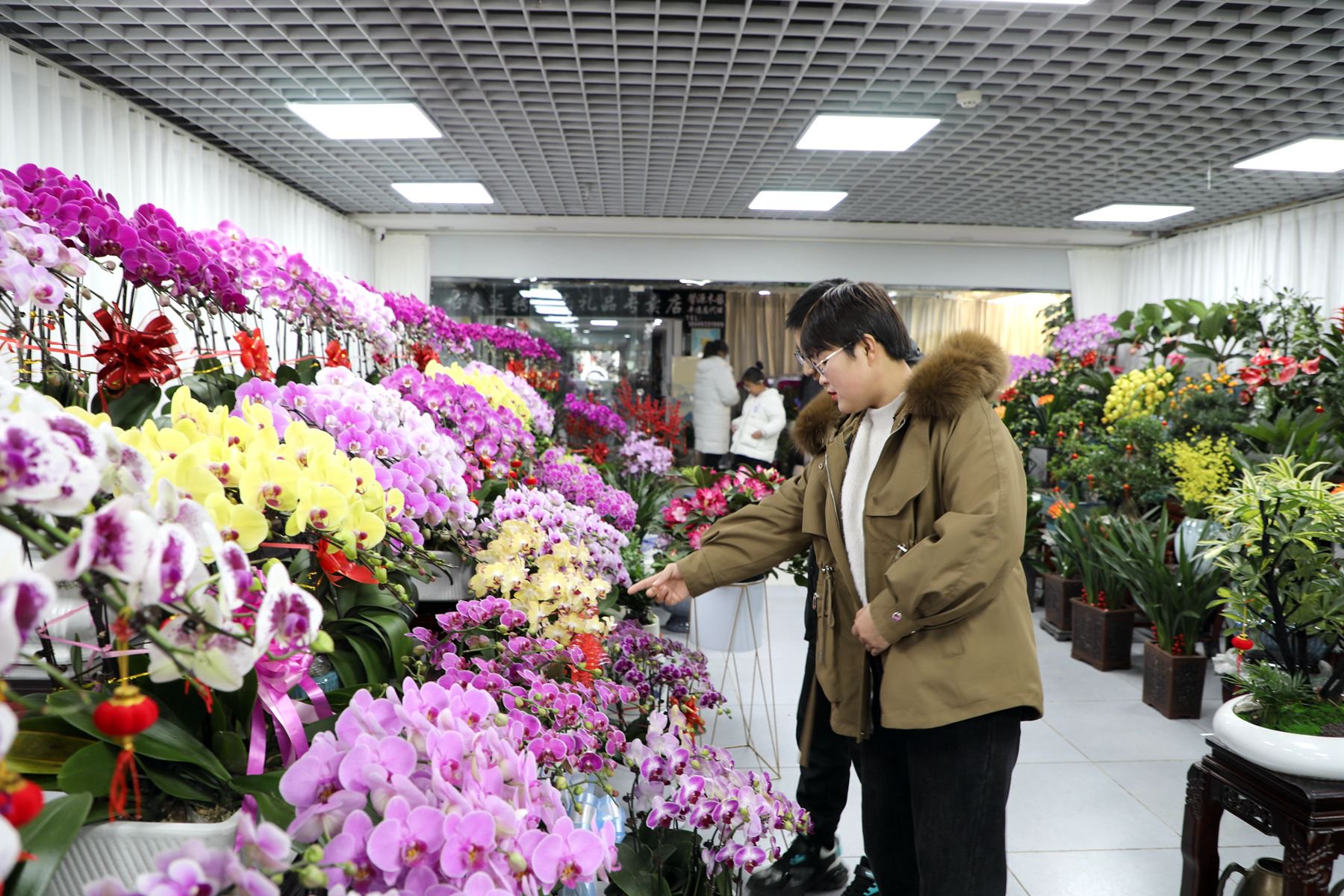 网上花店编程项目，打造数字化花卉销售新纪元