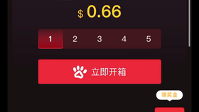 探索CSGO白嫖网站，一种游戏内的免费获取策略