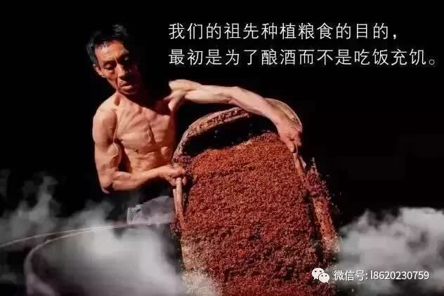 卢金美食插画，艺术与味蕾的绝妙交融