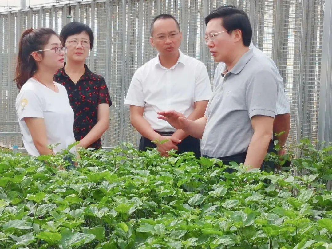 百香果种植技术与管理，从育苗到收获的全过程