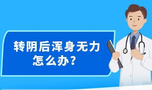 新澳精准资料免费提供-精选解析与落实的详细结果