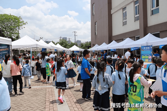 玩具工程设备品牌，塑造儿童梦想与未来的关键力量