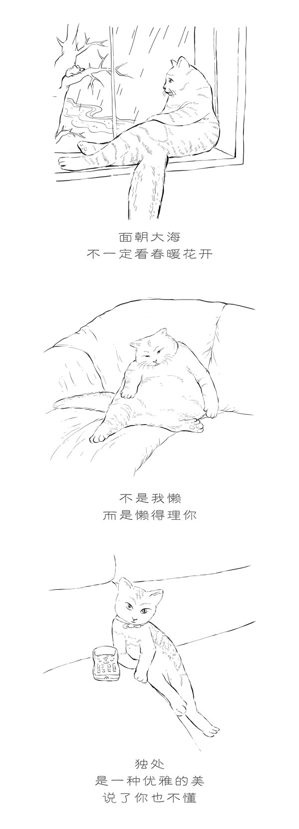 大懒猫的生活哲学