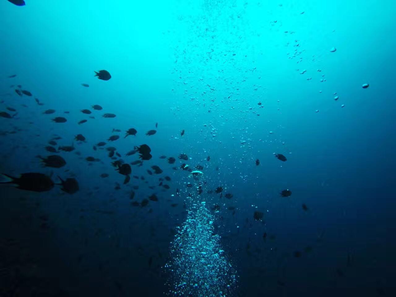 探索未来，海底城市的奇幻之旅