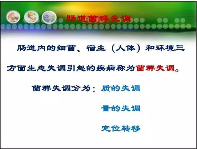 大鳄，力量、智慧与生态平衡的符号