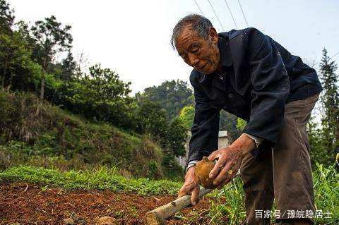 王老先生有块地，一段关于土地、人生与传承的故事