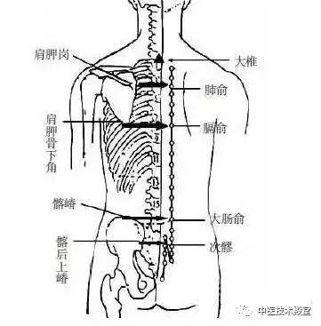 肋脊角的奥秘，人体结构与健康的重要交汇点