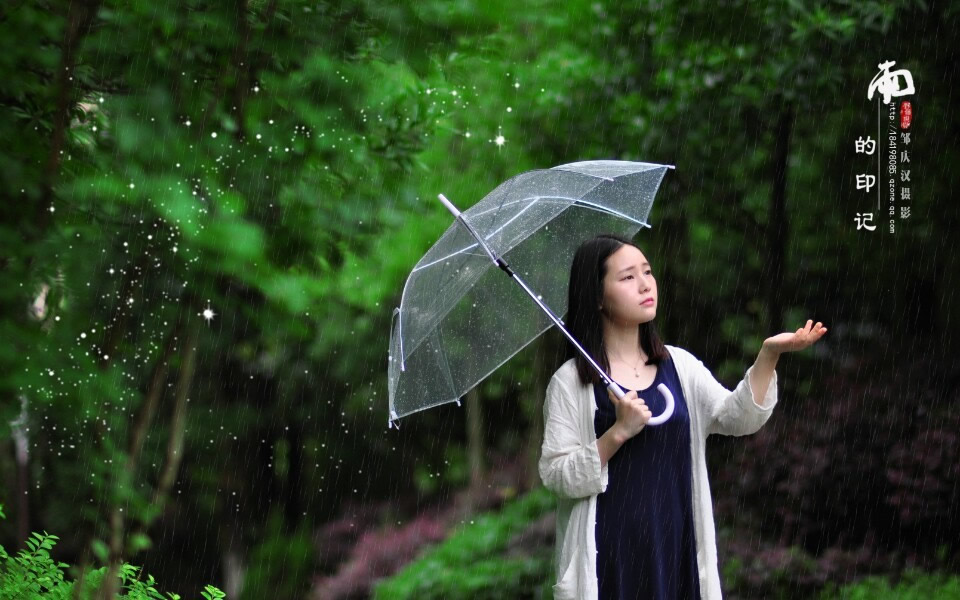 雨的印记