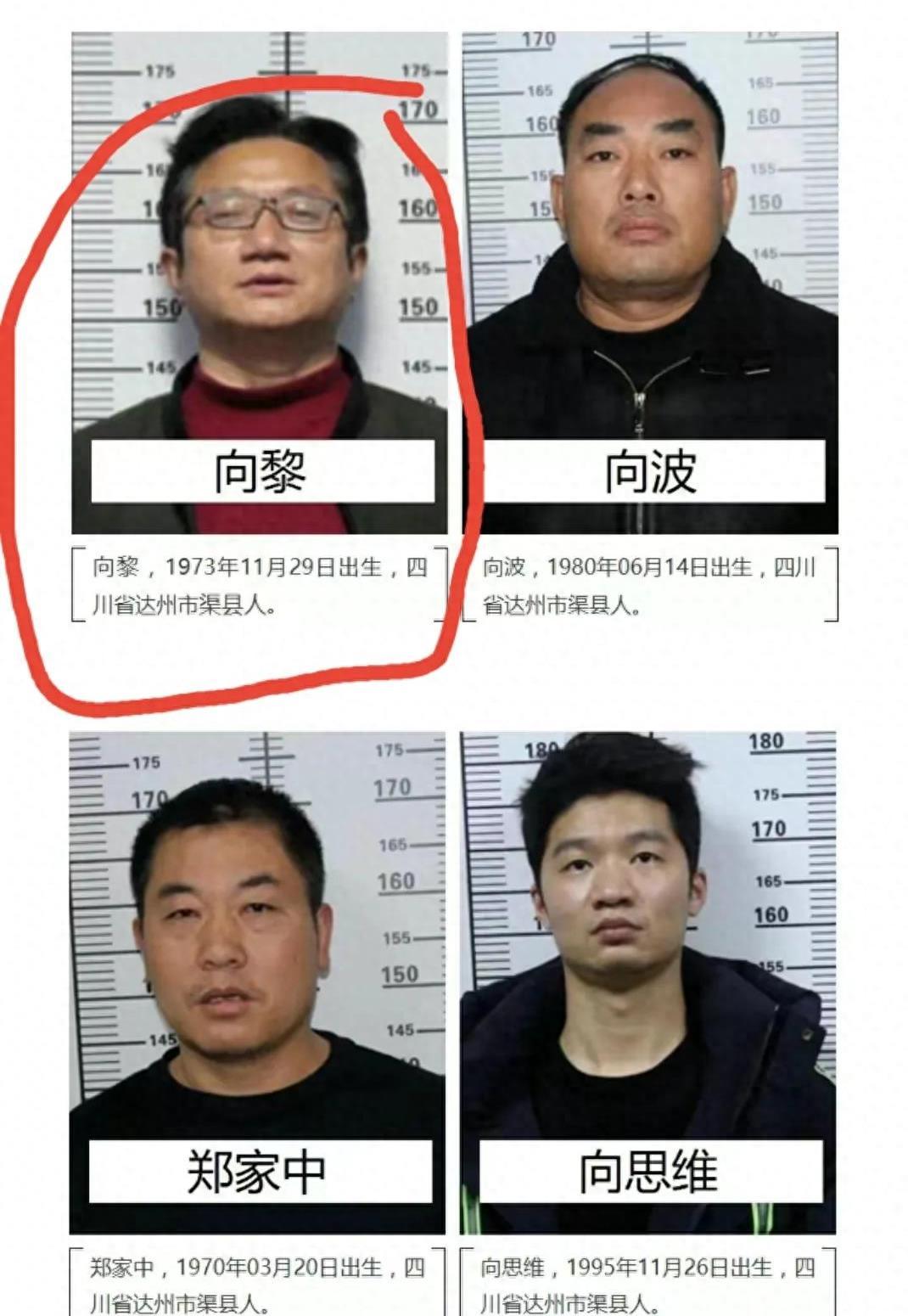 落地请开手机第三集，复杂交织的情感与深藏不露的真相