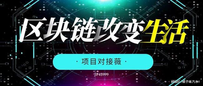 直播伴侣，共创数字时代的互动新纪元