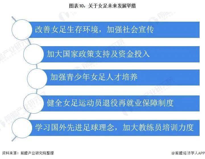 足球世界排名，探究与解析