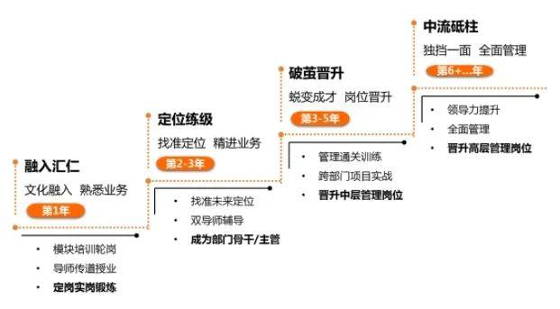 餐饮储备干部职业规划，打造卓越的职业发展路径