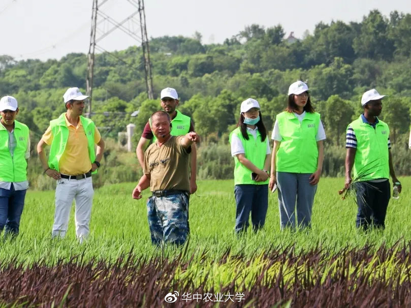 华中科技大学农业，引领科技创新与人才培养的先锋力量