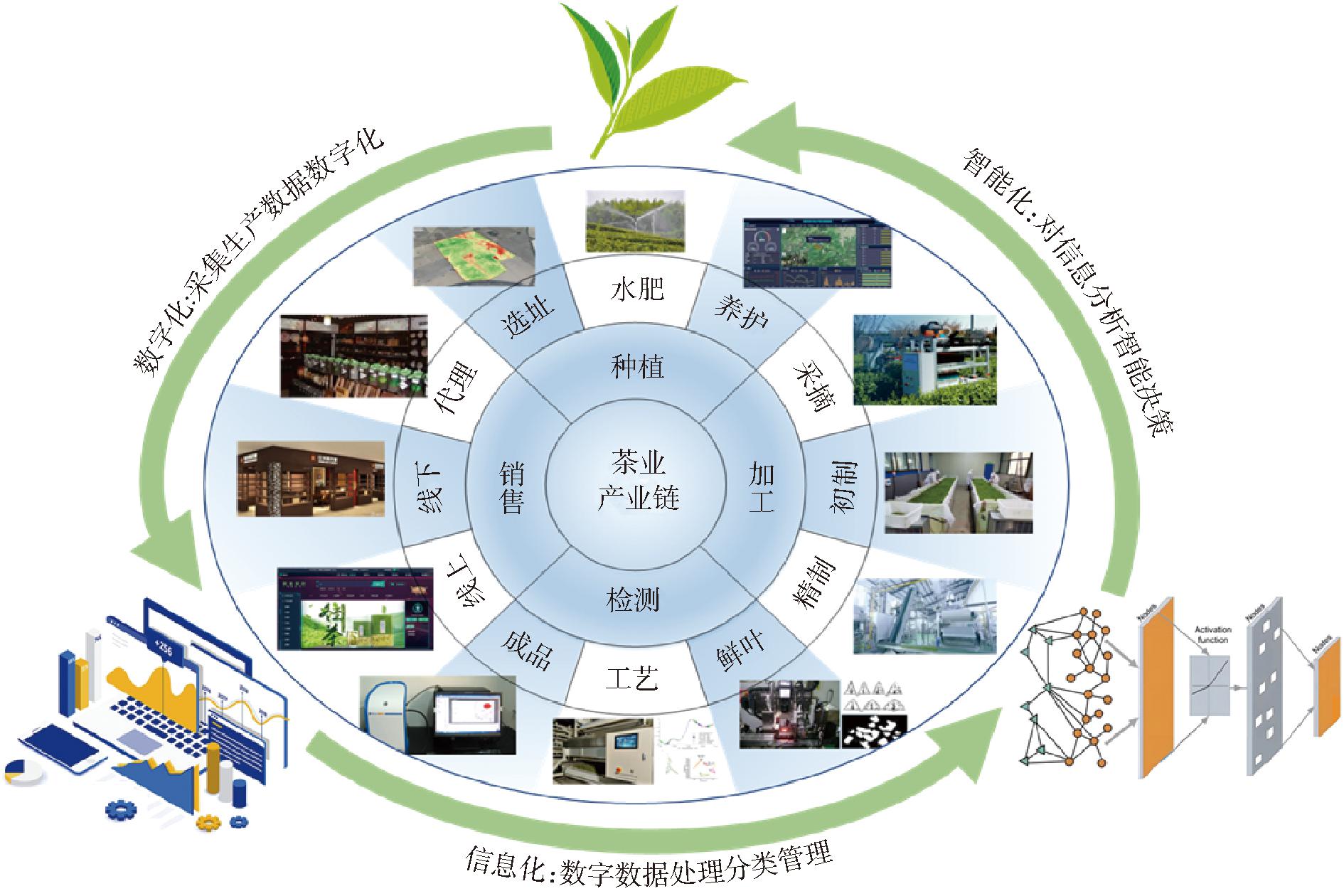 易道科技，引领茶叶产业进入智能化新时代