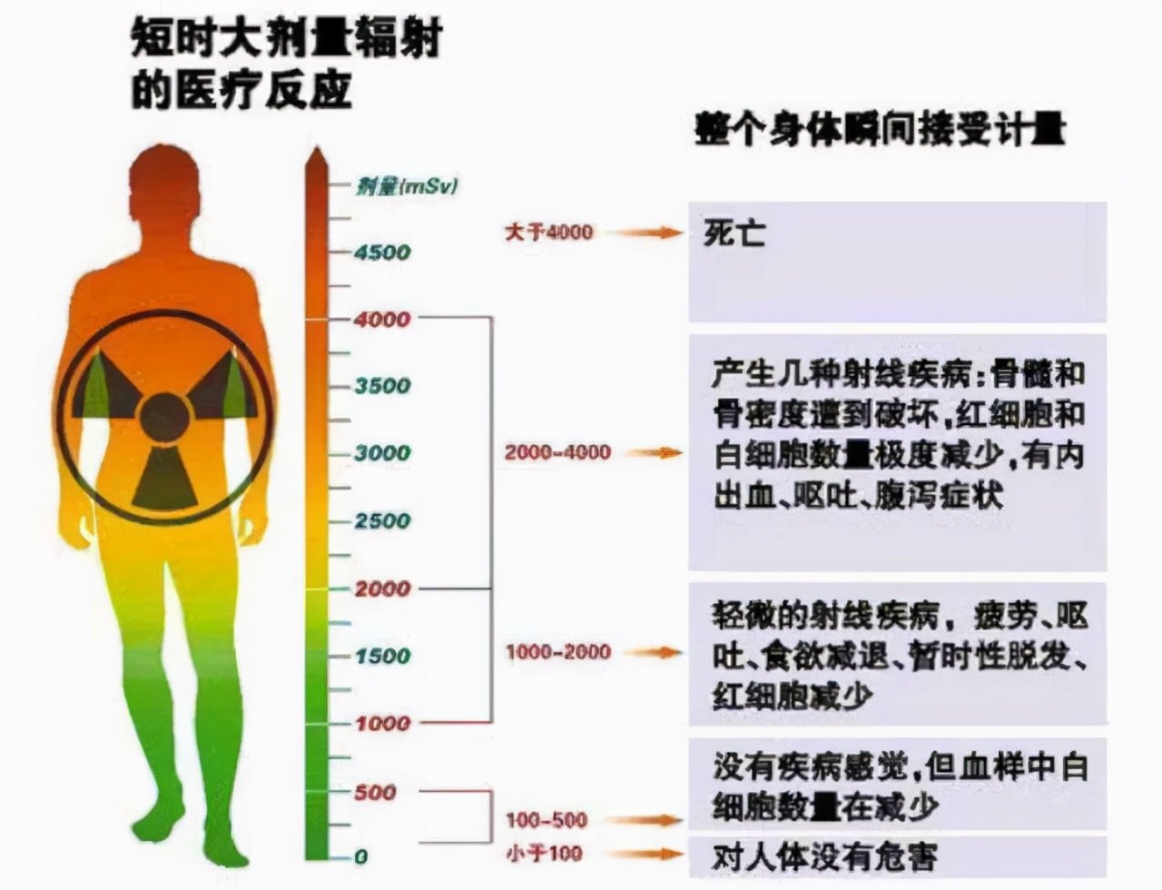 辐射危害，深入了解与应对策略