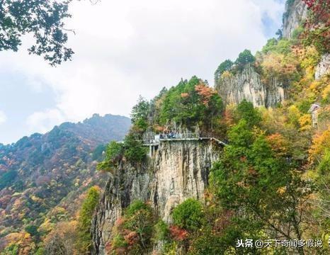 安康美食视频，品味千年古城的美食文化